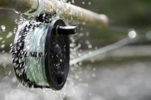 A fly fishing reel sends water flying as it spins at high speed while letting the line out fast. [url=file_closeup?id=20420279][img]/file_thumbview/20420279/2[/img][/url] [url=file_closeup?id=14779682][img]/file_thumbview/14779682/3[/img][/url] [url=file_closeup?id=21883221][img]/file_thumbview/21883221/3[/img][/url] [url=file_closeup?id=10579568][img]/file_thumbview/10579568/3[/img][/url] [url=file_closeup?id=17335384][img]/file_thumbview/17335384/3[/img][/url] [url=file_closeup?id=14102130][img]/file_thumbview/14102130/3[/img][/url] [url=file_closeup?id=21945098][img]/file_thumbview/21945098/3[/img][/url] [url=file_closeup?id=29633252][img]/file_thumbview/29633252/3[/img][/url] [url=file_closeup?id=19255209][img]/file_thumbview/19255209/3[/img][/url] [url=file_closeup?id=16602534][img]/file_thumbview/16602534/3[/img][/url] [url=file_closeup?id=20295451][img]/file_thumbview/20295451/3[/img][/url]